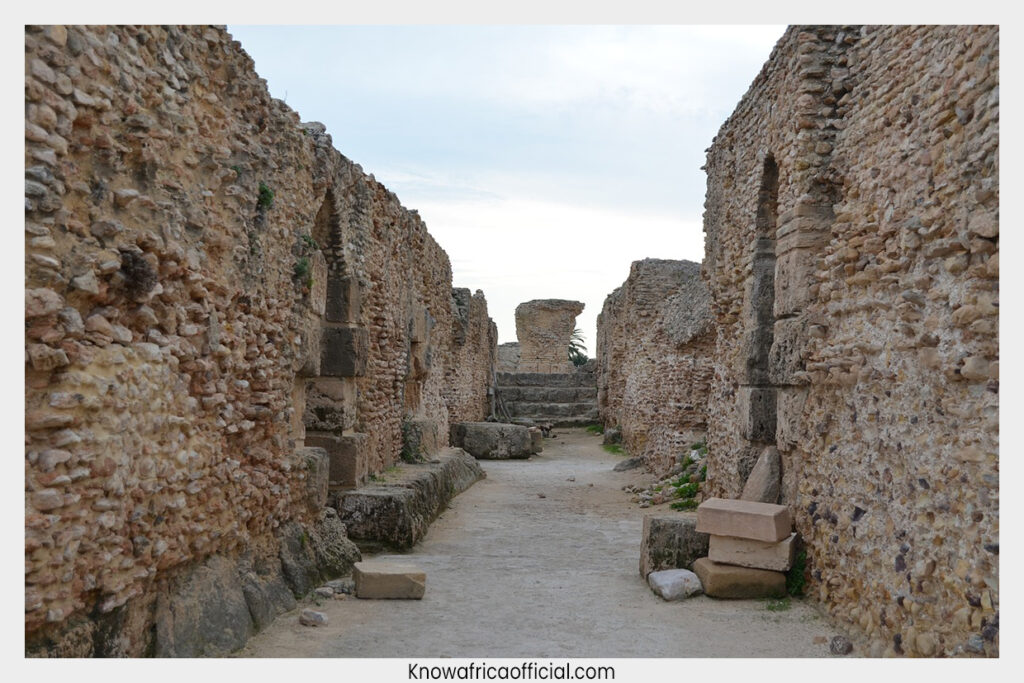 African empires that transformed trade, politics, religion and civilization, from the Kingdom of Kush to Great Zimbabwe.