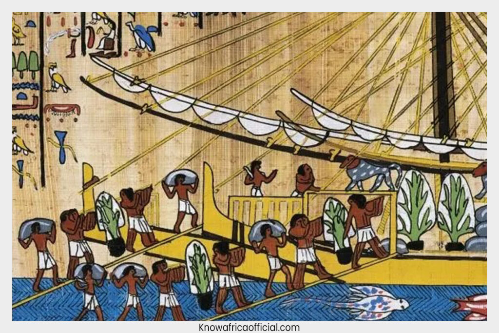 African empires that transformed trade, politics, religion and civilization, from the Kingdom of Kush to Great Zimbabwe.