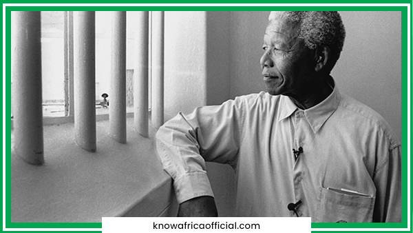 nelson mandela, history, africa.