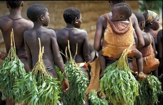 Women of the Koma Tribe