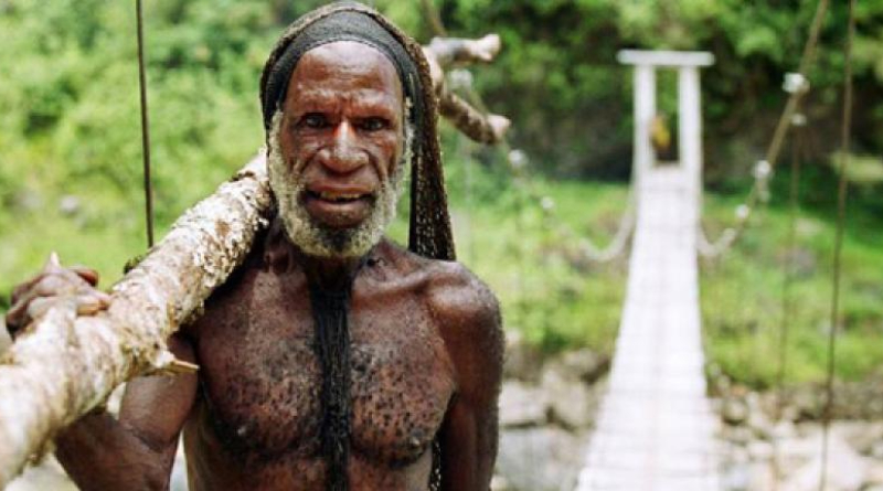 Know About The Races of Africa